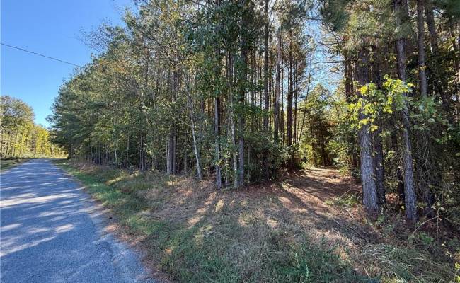 4.56 Little Low Ground Road, Greensville County, VA 23847