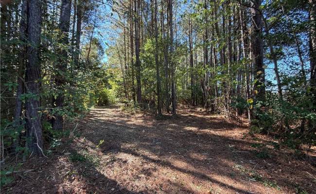 4.56 Little Low Ground Road, Greensville County, VA 23847