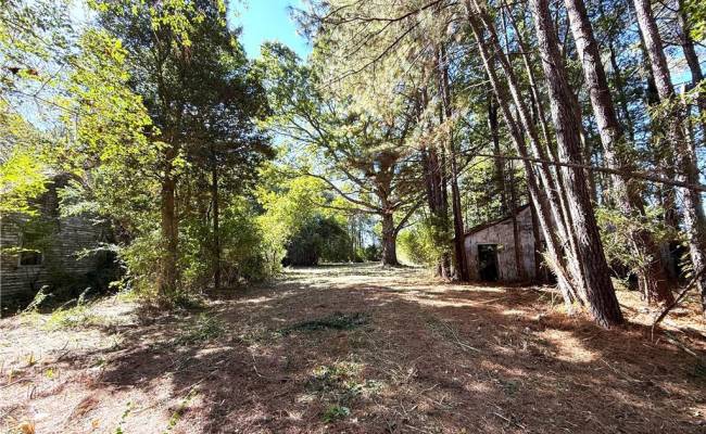 4.56 Little Low Ground Road, Greensville County, VA 23847