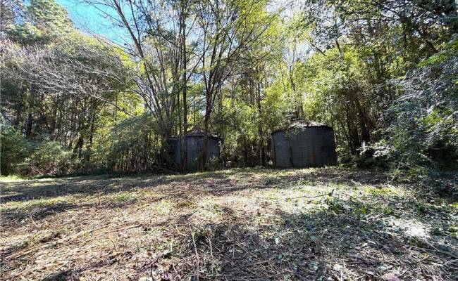4.56 Little Low Ground Road, Greensville County, VA 23847
