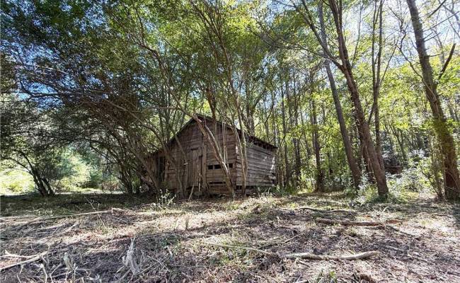 4.56 Little Low Ground Road, Greensville County, VA 23847