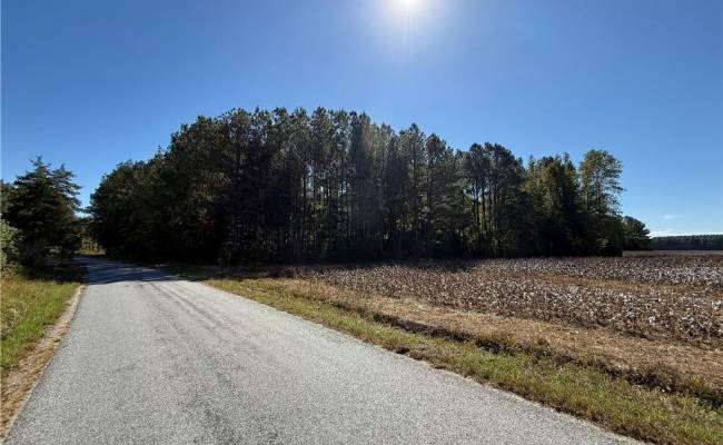 4.56 Little Low Ground Road, Greensville County, VA 23847