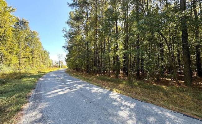 4.56 Little Low Ground Road, Greensville County, VA 23847