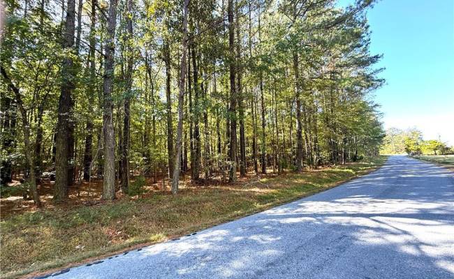 4.56 Little Low Ground Road, Greensville County, VA 23847