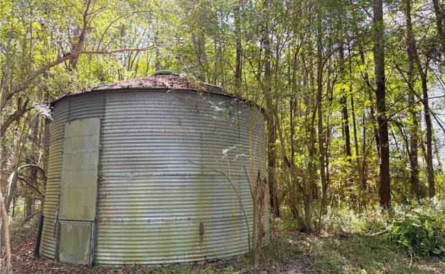 4.56 Little Low Ground Road, Greensville County, VA 23847