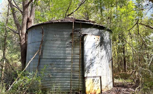 4.56 Little Low Ground Road, Greensville County, VA 23847