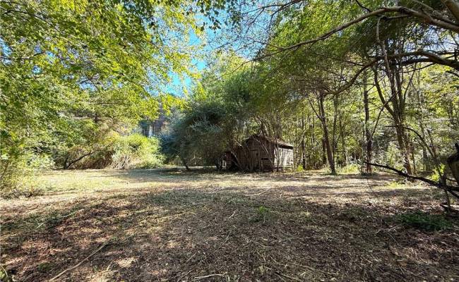 4.56 Little Low Ground Road, Greensville County, VA 23847