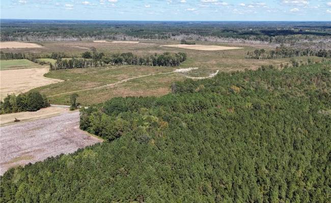 4.56 Little Low Ground Road, Greensville County, VA 23847