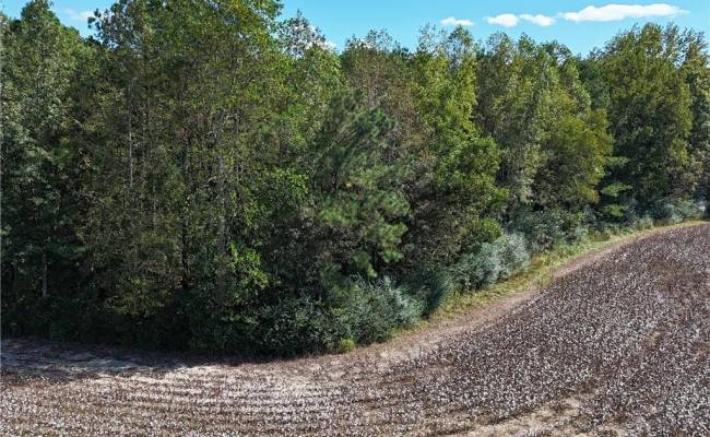 4.56 Little Low Ground Road, Greensville County, VA 23847