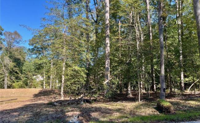 5353 RIDGEWOOD Hills, James City County, VA 23188