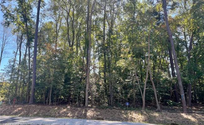 5349 RIDGEWOOD Hills, James City County, VA 23188
