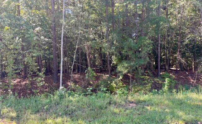 5329 RIDGEWOOD Hills, James City County, VA 23188