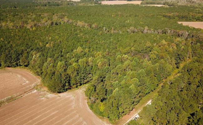 45.5 Acres Cypress Chapel Road, Suffolk, VA 23434