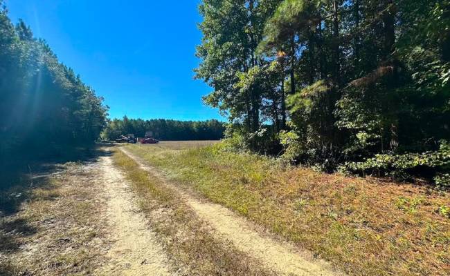 45.5 Acres Cypress Chapel Road, Suffolk, VA 23434