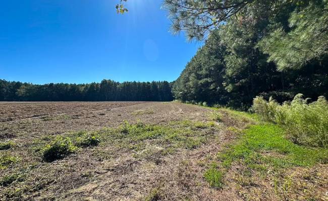 45.5 Acres Cypress Chapel Road, Suffolk, VA 23434