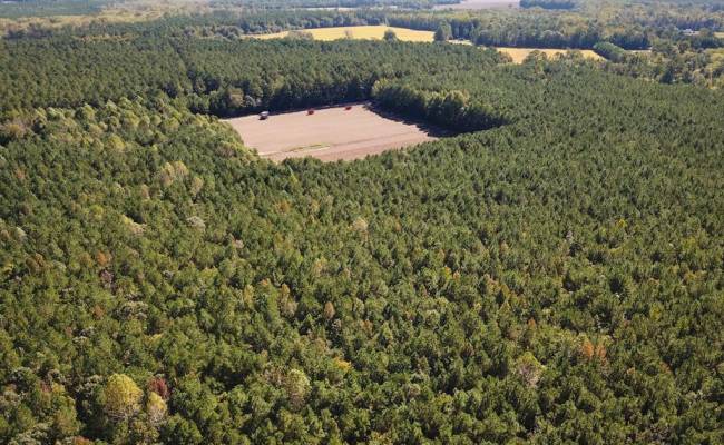 45.5 Acres Cypress Chapel Road, Suffolk, VA 23434