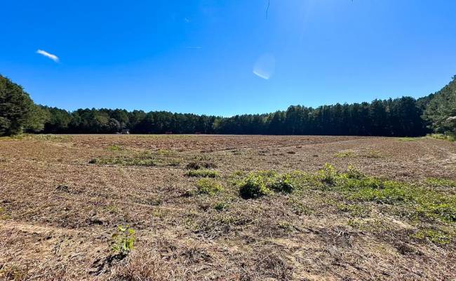 45.5 Acres Cypress Chapel Road, Suffolk, VA 23434