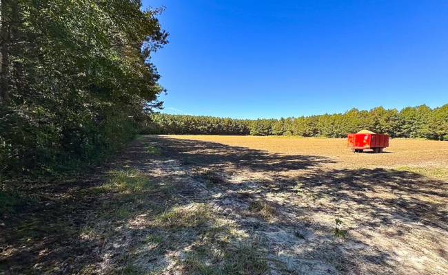 45.5 Acres Cypress Chapel Road, Suffolk, VA 23434