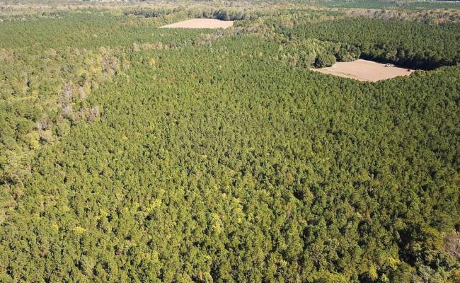 45.5 Acres Cypress Chapel Road, Suffolk, VA 23434