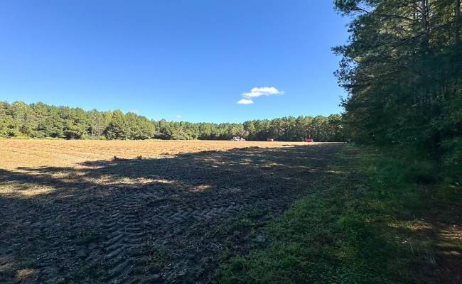45.5 Acres Cypress Chapel Road, Suffolk, VA 23434