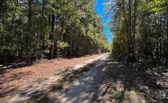 45.5 Acres Cypress Chapel Road, Suffolk, VA 23434