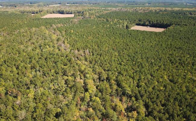 45.5 Acres Cypress Chapel Road, Suffolk, VA 23434