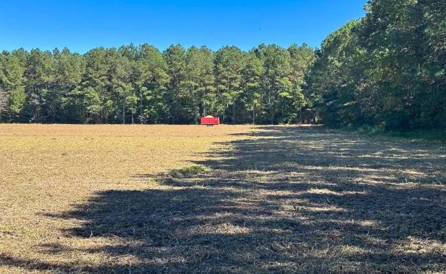 45.5 Acres Cypress Chapel Road, Suffolk, VA 23434