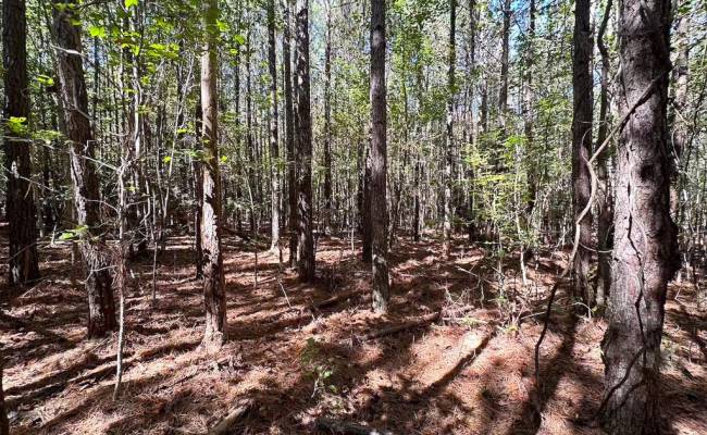 45.5 Acres Cypress Chapel Road, Suffolk, VA 23434