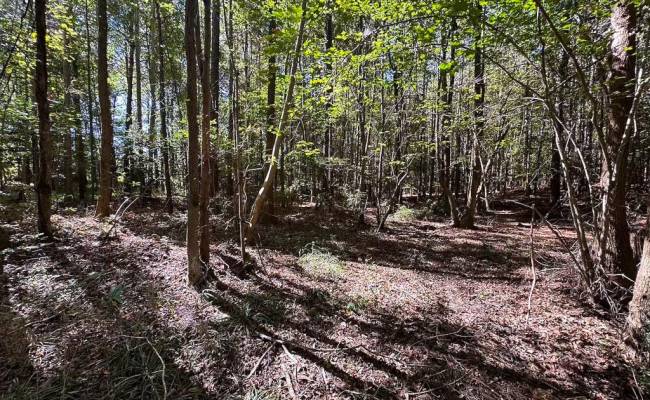 45.5 Acres Cypress Chapel Road, Suffolk, VA 23434