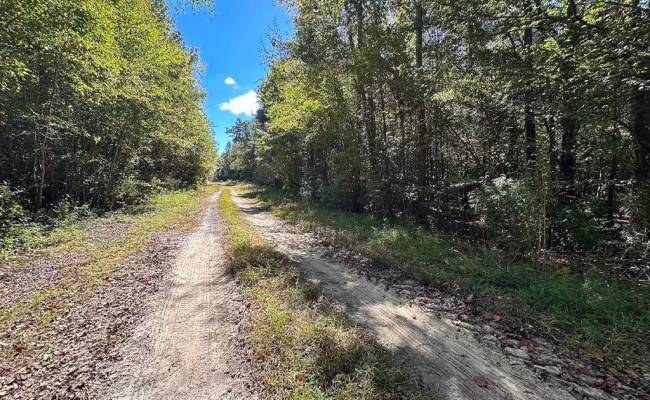 45.5 Acres Cypress Chapel Road, Suffolk, VA 23434