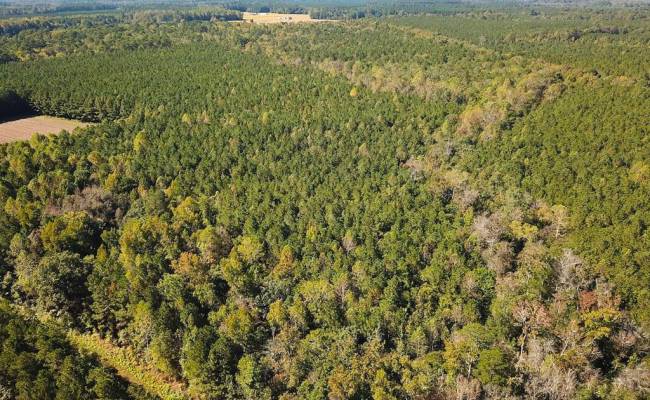 45.5 Acres Cypress Chapel Road, Suffolk, VA 23434
