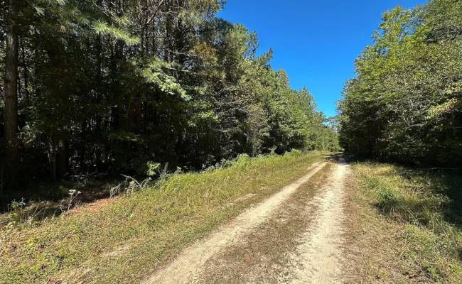 45.5 Acres Cypress Chapel Road, Suffolk, VA 23434