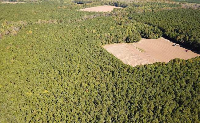 45.5 Acres Cypress Chapel Road, Suffolk, VA 23434