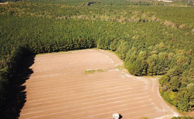 45.5 Acres Cypress Chapel Road, Suffolk, VA 23434