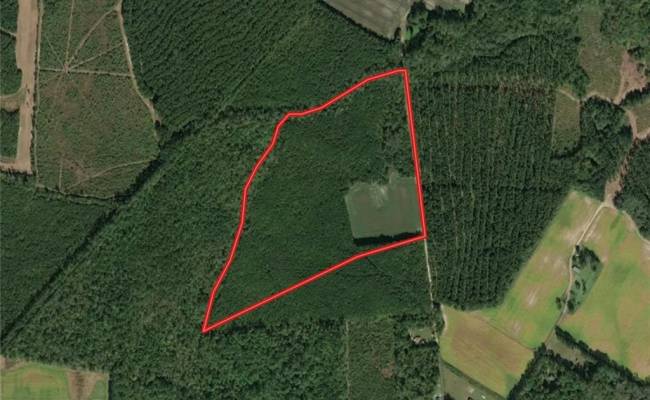 45.5 Acres Cypress Chapel Road, Suffolk, VA 23434