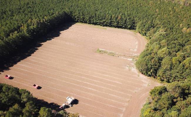 45.5 Acres Cypress Chapel Road, Suffolk, VA 23434
