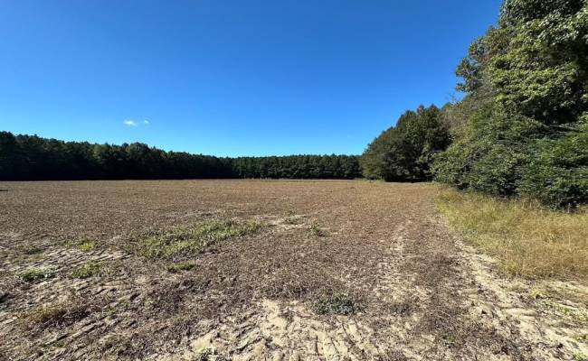 45.5 Acres Cypress Chapel Road, Suffolk, VA 23434