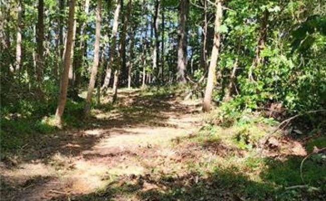 00 Wise Lane, King & Queen County, VA 23110