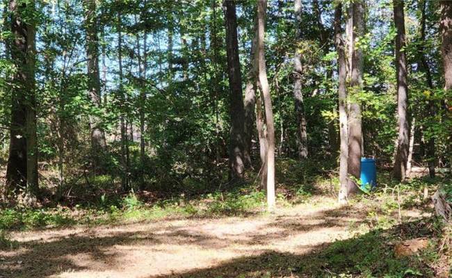 00 Wise Lane, King & Queen County, VA 23110