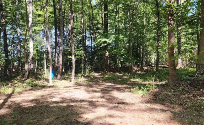 00 Wise Lane, King & Queen County, VA 23110