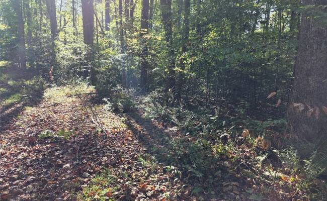 5.71ac New Upton Farms Lane, Gloucester County, VA 23061