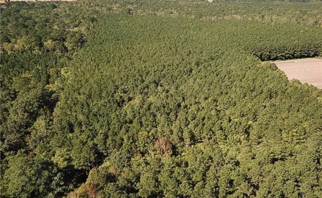 15 Acres Cypress Chapel Road, Suffolk, VA 23434