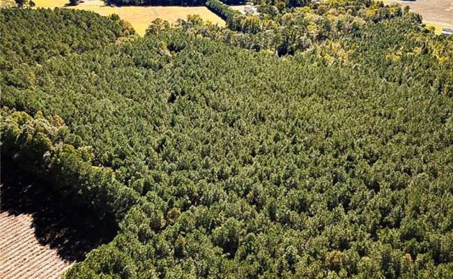 15 Acres Cypress Chapel Road, Suffolk, VA 23434