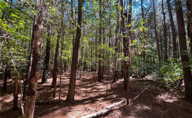 15 Acres Cypress Chapel Road, Suffolk, VA 23434