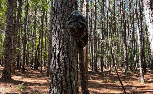 15 Acres Cypress Chapel Road, Suffolk, VA 23434