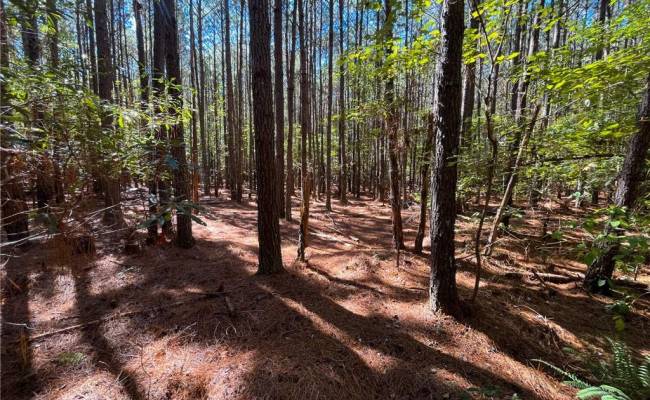 15 Acres Cypress Chapel Road, Suffolk, VA 23434