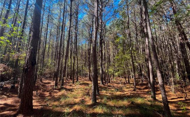 15 Acres Cypress Chapel Road, Suffolk, VA 23434