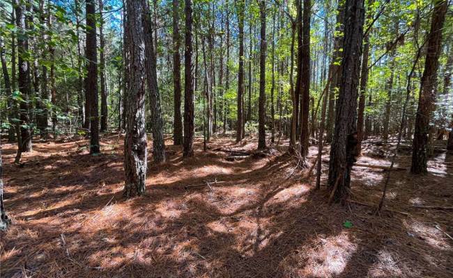 15 Acres Cypress Chapel Road, Suffolk, VA 23434