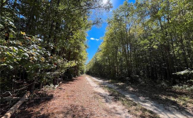15 Acres Cypress Chapel Road, Suffolk, VA 23434