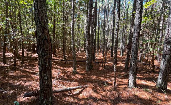 15 Acres Cypress Chapel Road, Suffolk, VA 23434